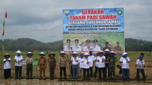 Wujudkan ketahanan pangan nasional, Dandim 0416/Bute ikuti gerakan percepatan tanaman padi di Bungo*